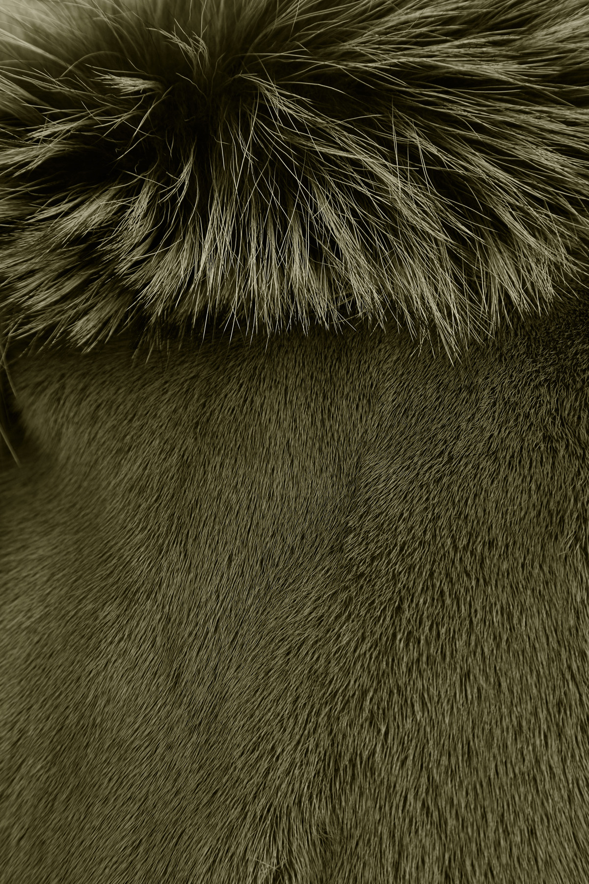 Пальто из шерсти со съемны жилетом из блестящего меха норки YVES SALOMON, цвет хаки, размер 34 - фото 8